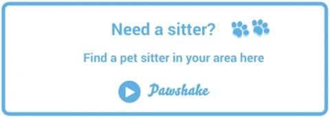 Book a petsitter