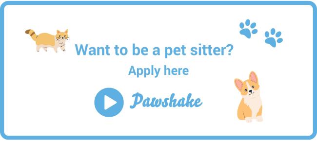 Become a pet sitter