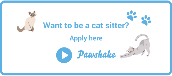Become a cat sitter