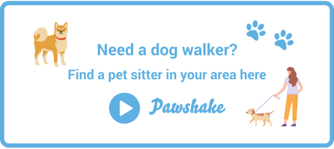Find a dog walker