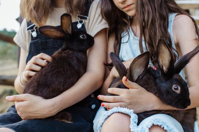 Children with rabbits