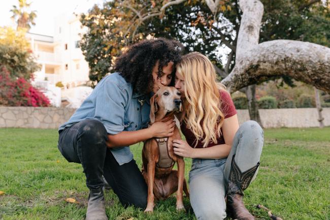 Comforting a Dog