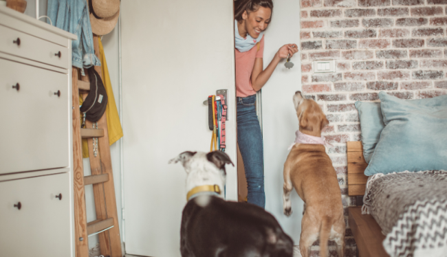 Een vrouw komt een kamer binnen bij twee honden